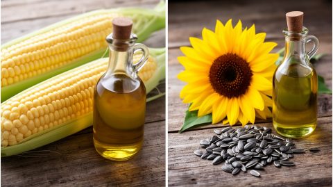 Чем кукурузное масло отличается от подсолнечного: какое выбрать для жарки и салатов