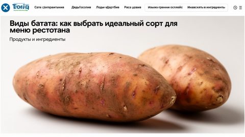 Виды батата: как выбрать идеальный сорт для меню ресторана