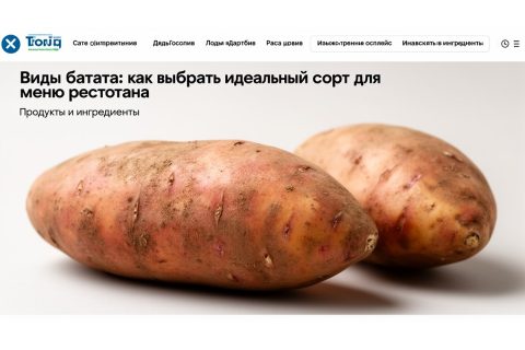 Виды батата: как выбрать идеальный сорт для меню ресторана