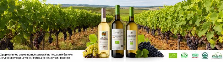 Органические вина в России: производство выросло в 5 раз за три года