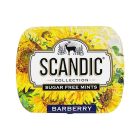 Драже Scandic без сахара со вкусом Барбарис, 14г