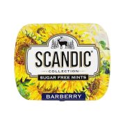 Драже Scandic без сахара со вкусом Барбарис, 14г