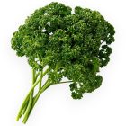 Петрушка кудрявая