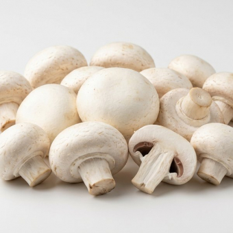 Грибы шампиньоны