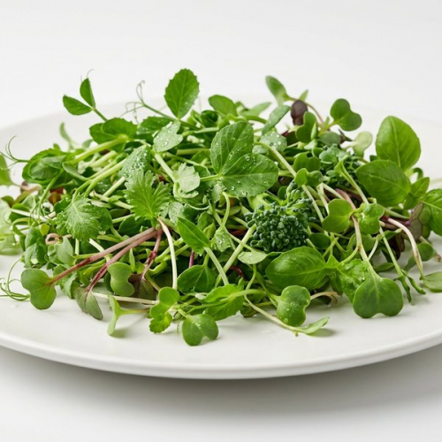 Микрозелень Горох (4*
