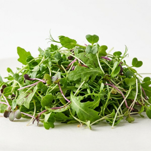 Микрозелень Руккола (4*