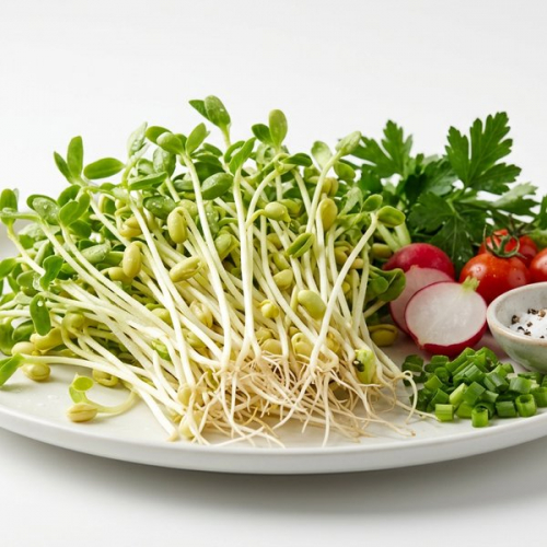 Проростки сои