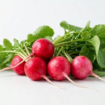 Редис Дайкон