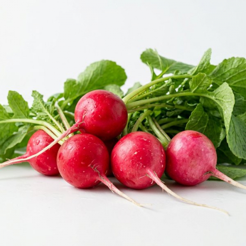 Редис Дайкон