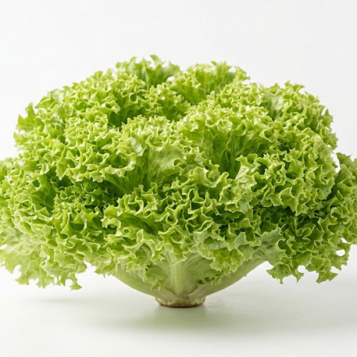 Салат Лола Бионда