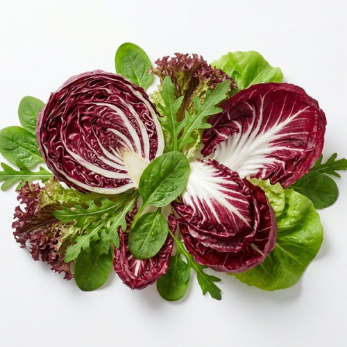 Салат Радичио Россо