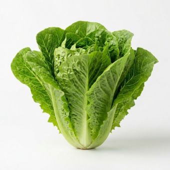 Салат Ромейн ~350г/1шт