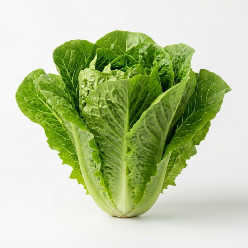 Салат Ромейн ~