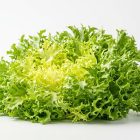 Салат Фриссе