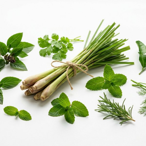 Лемонграсс