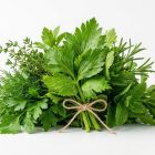 Лист сельдерея