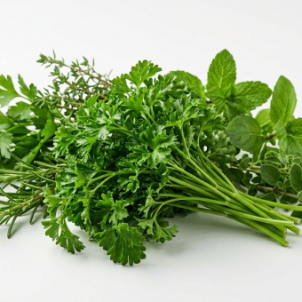 Петрушка кудрявая