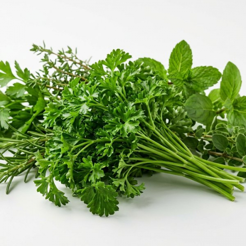 Петрушка кудрявая