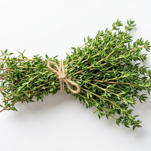 Тимьян (Чабрец)