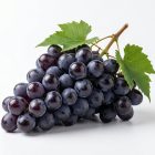 Виноград Томсон