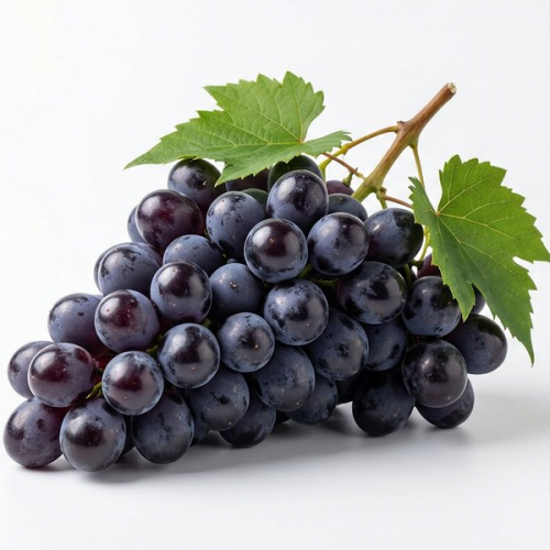 Виноград Томсон