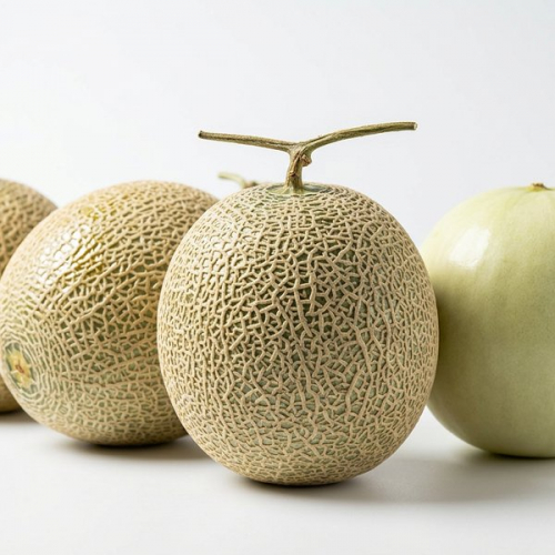 Дыня молочная