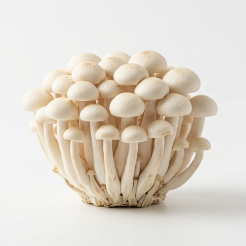 Грибы Шимиджи