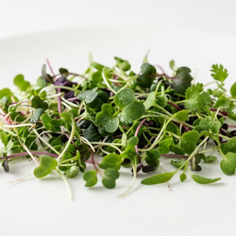Микрозелень Мизуна (4*5г) Сет