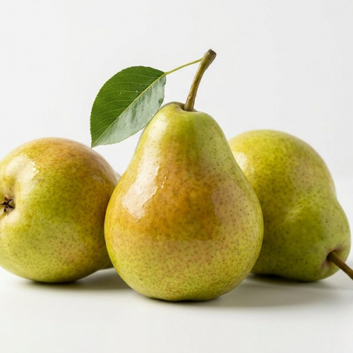 Груша Китайская