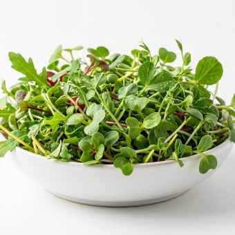 Микрозелень Кислица