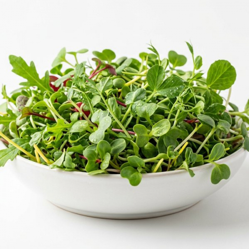 Микрозелень Кислица