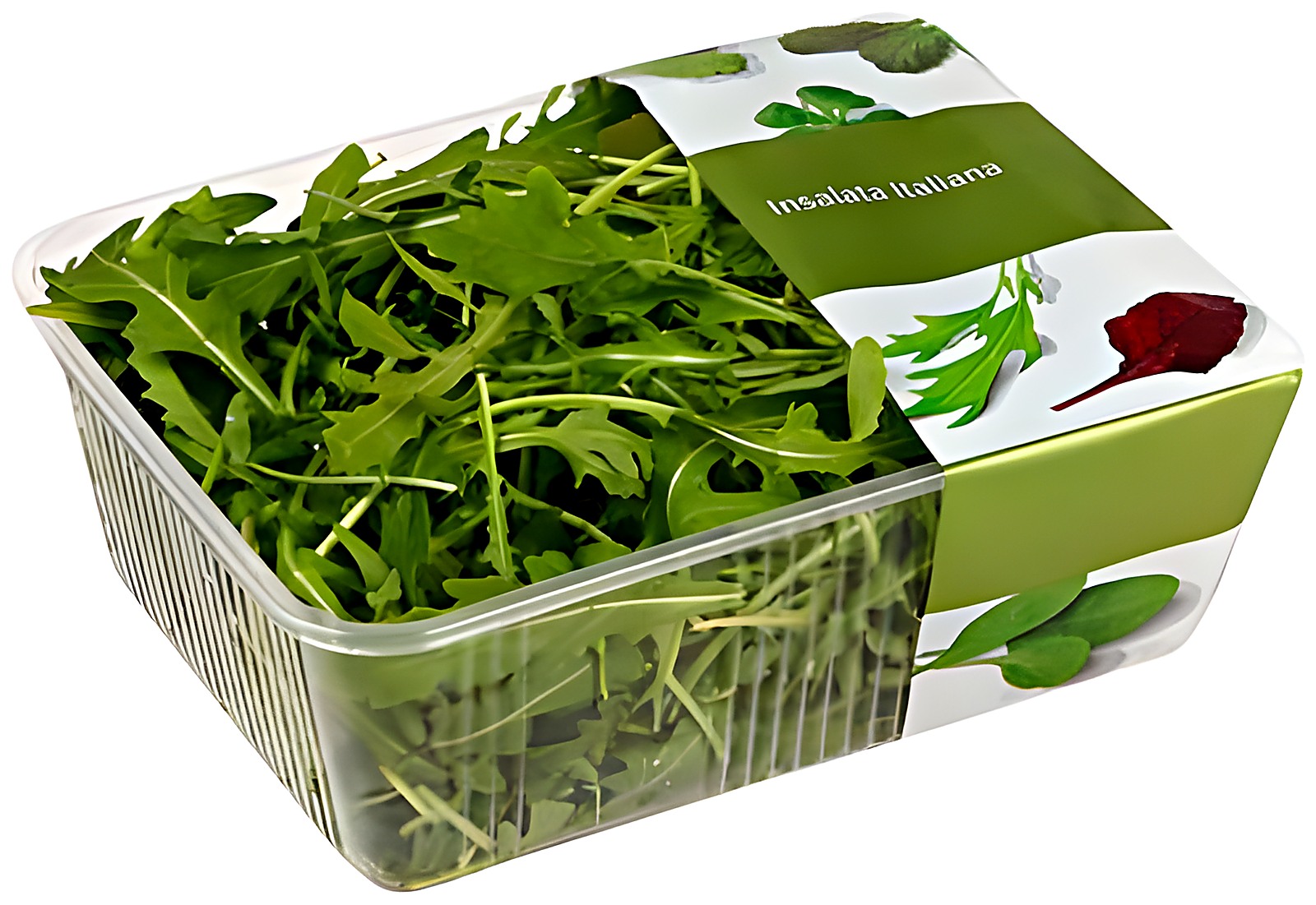 Руккола в коррексе с перфорированной плёнкой