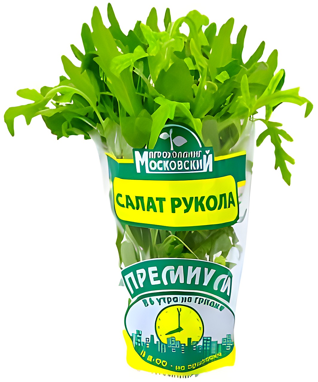 Живая руккола в пакете-горшочке