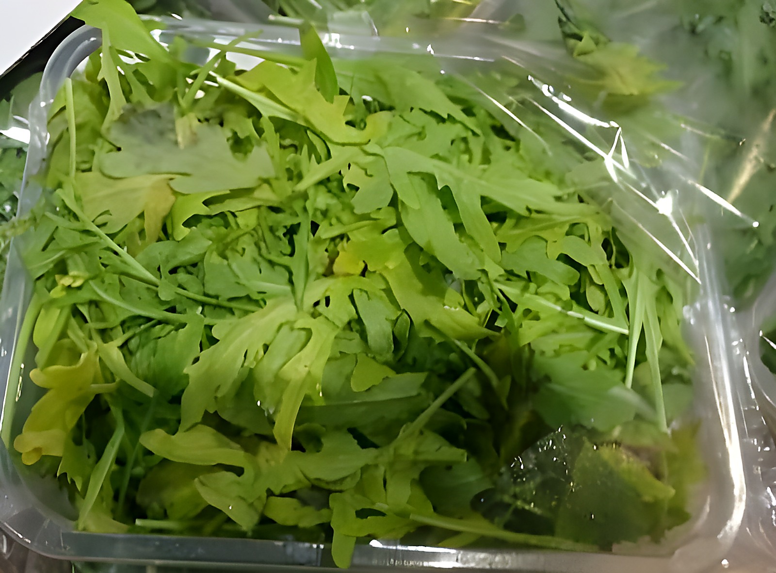 Руккола в коррексе без видимых признаков порчи