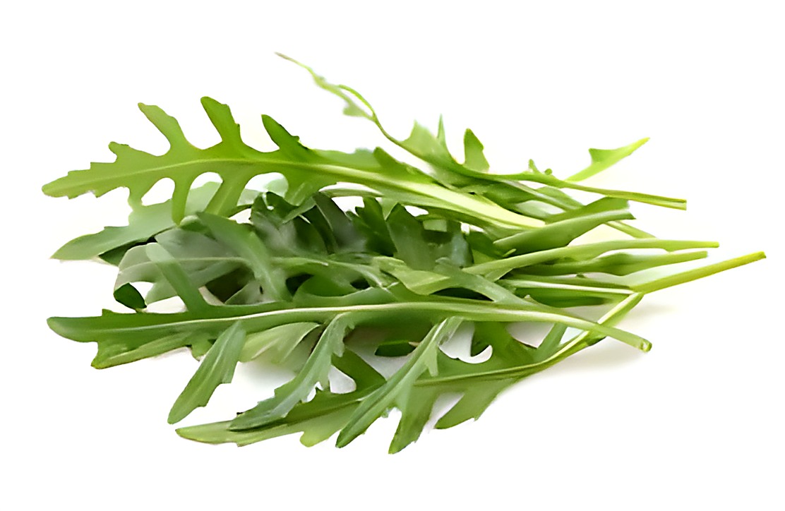 Руккола нормального товарного качества