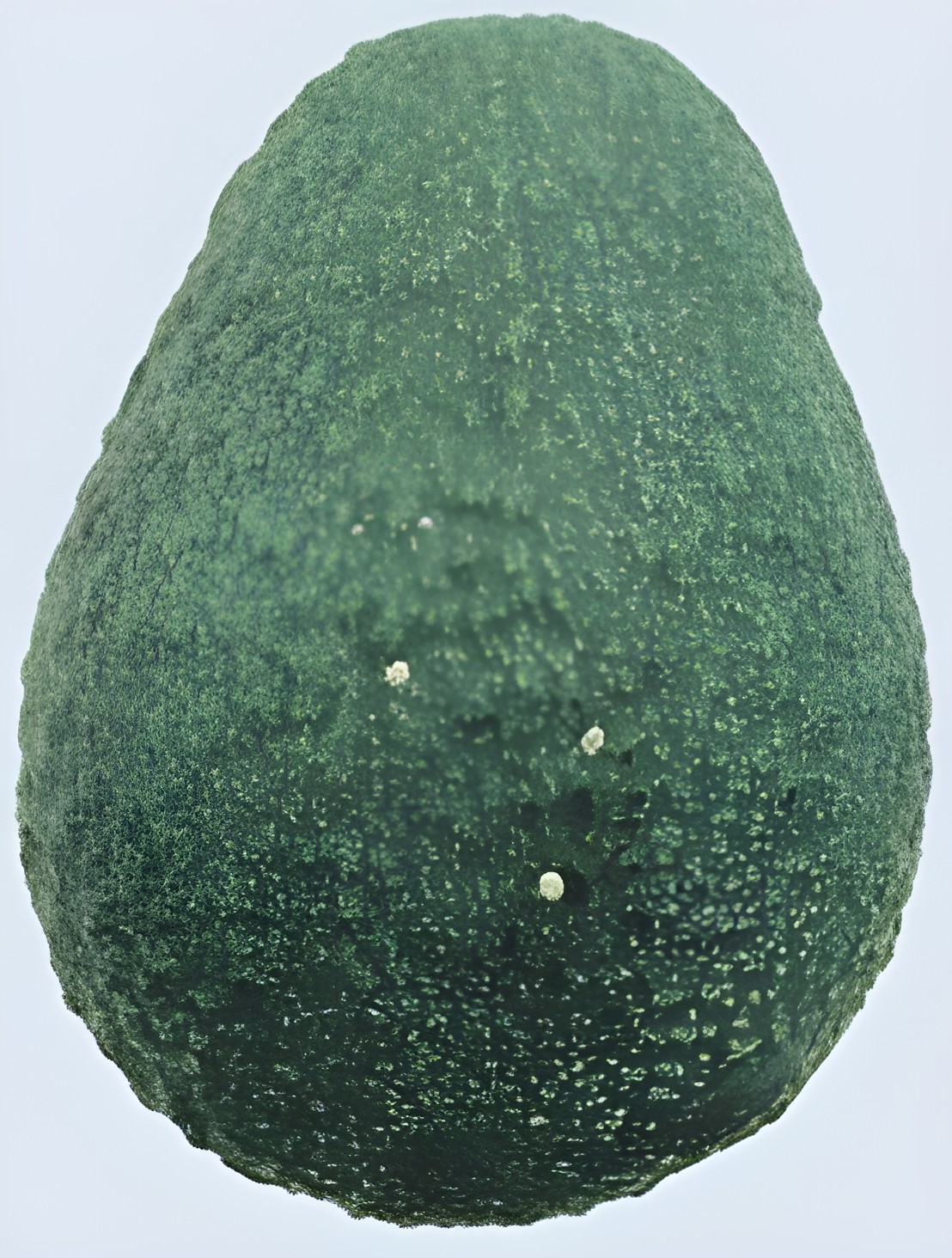 Авокадо нормального товарного качества