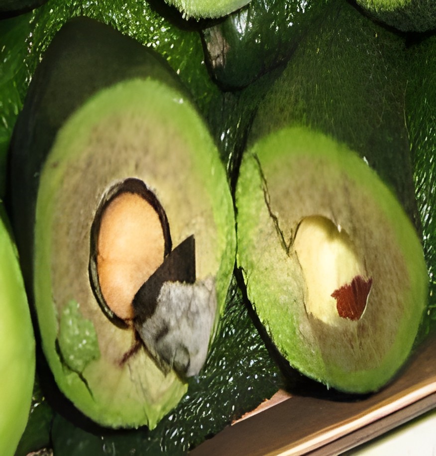 Авокадо со скрытым внутренним потемнением на разрезе