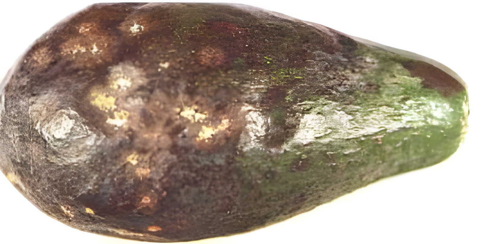 Авокадо с выраженной гнилью