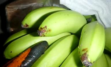 Как проверять качество бананов при приёмке — зелёная масса