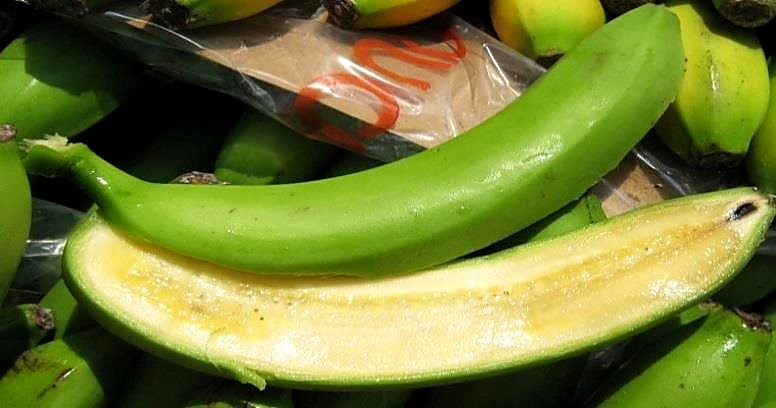 Как проверять качество бананов при приёмке — брак