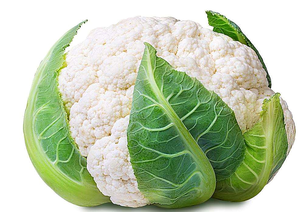 Как проверять качество капусты при приёмке - цветная