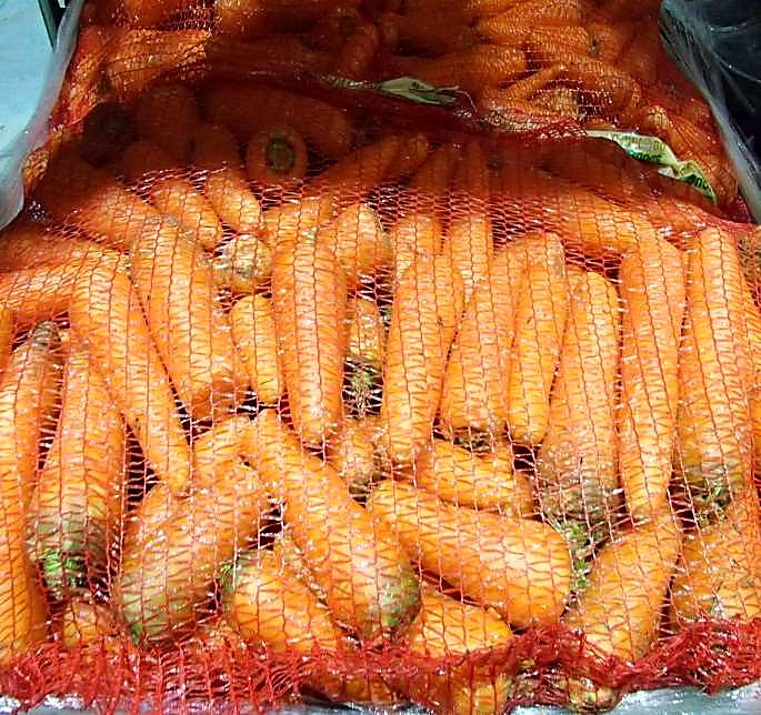 Как проверять качество моркови при приёмке — норма