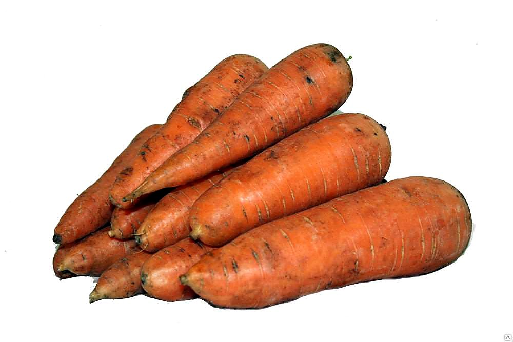 Как проверять качество моркови при приёмке — весовая