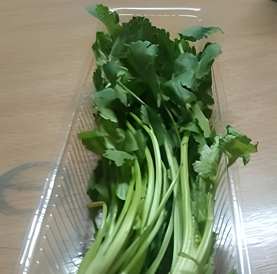 Кинза с лёгкой помятостью листа в подложке