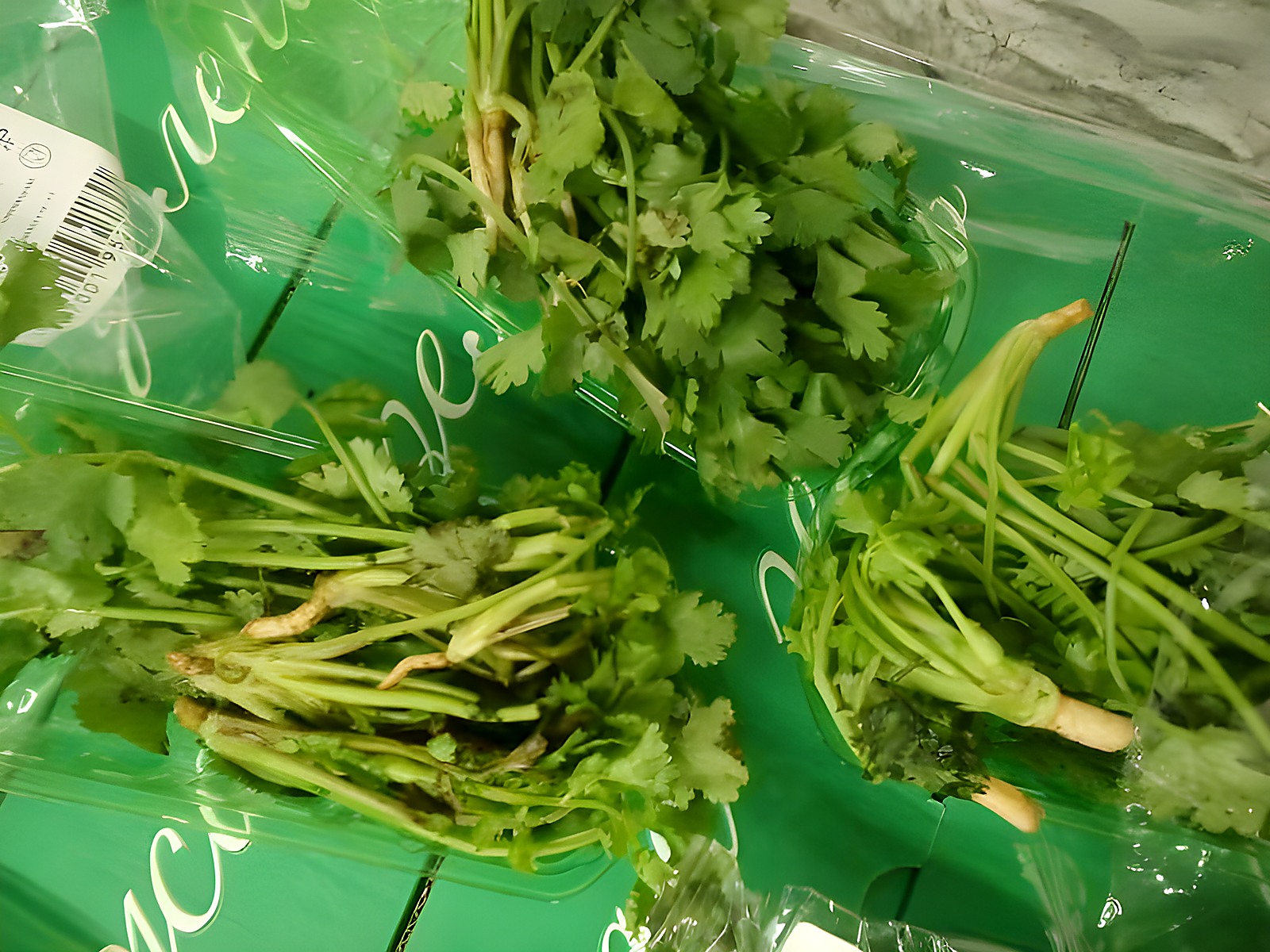 Кинза с пожелтением и потерей свежести