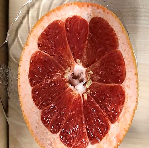 Как проверять качество цитрусовых при приёмке — проверка мякоти