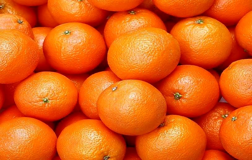 Как проверять качество цитрусовых при приёмке — норма
