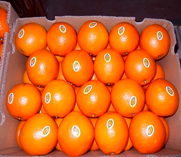 Как проверять качество цитрусовых при приёмке — партия