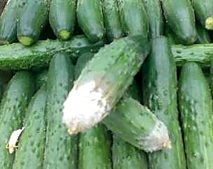 Как проверять качество огурцов Эстафета при приёмке - цветок