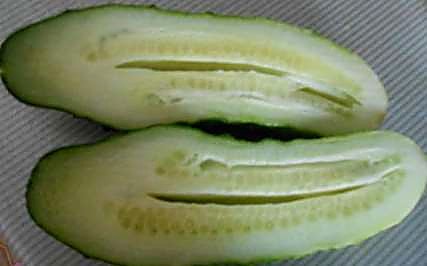 Как проверять качество корнишонов при приёмке - разрез